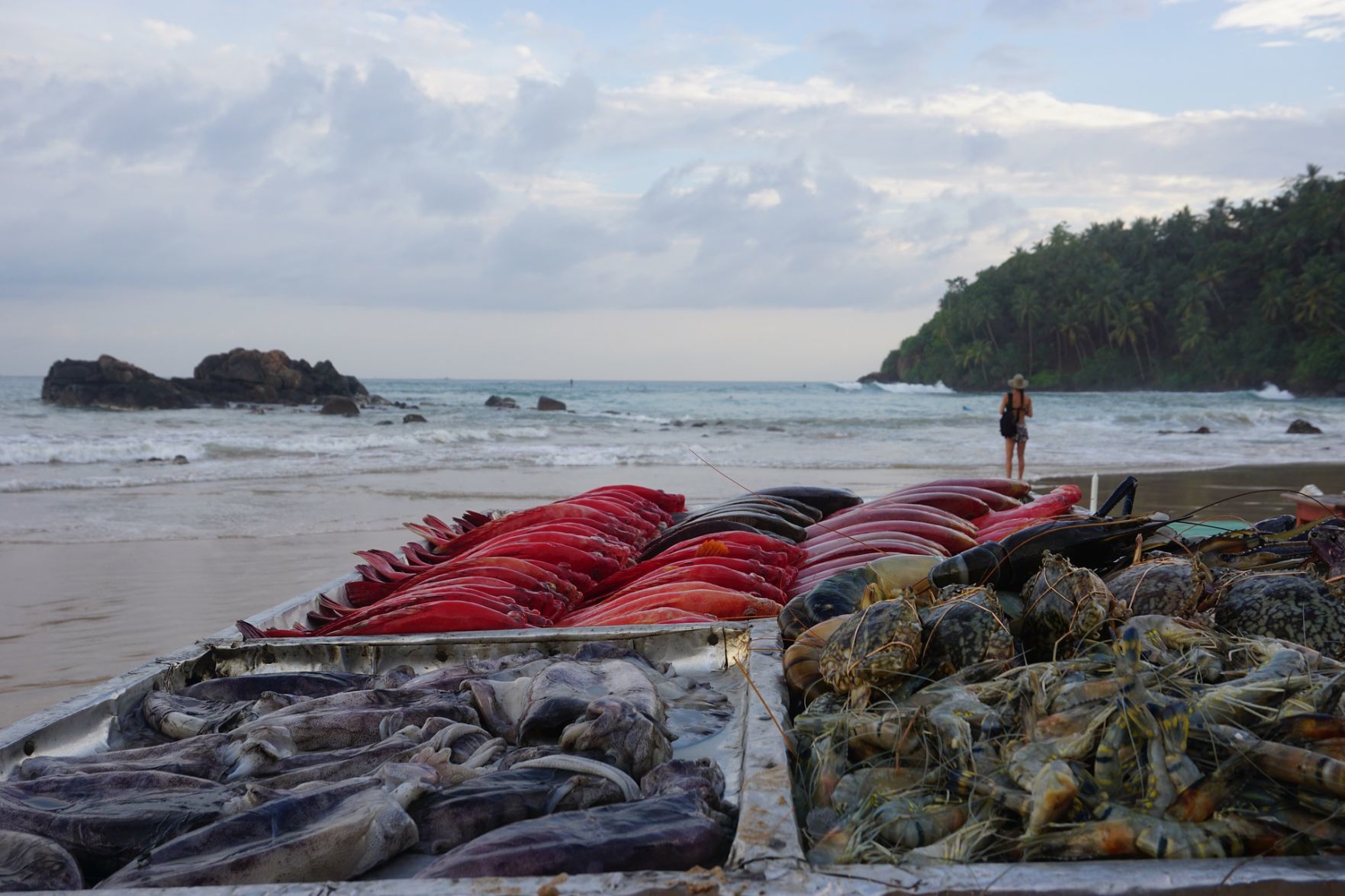 Mirissa, Sri Lanka